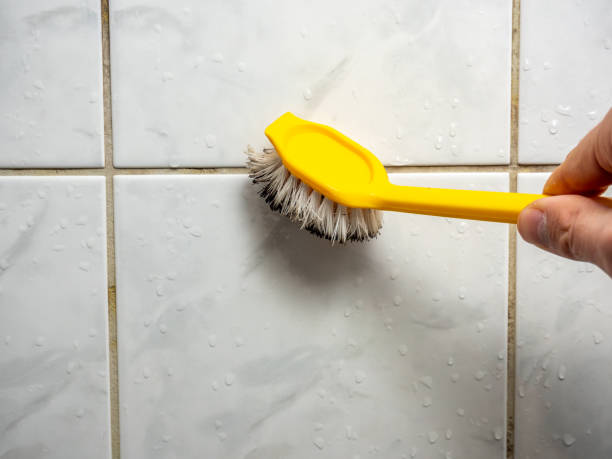 Best Mold Remediation  in Wilberforce, OH